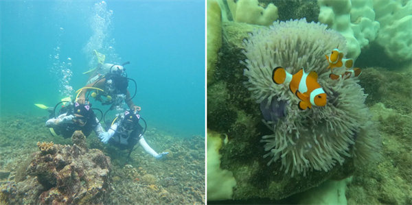 暢游碧海藍天，共筑團隊夢想—博皓沙巴風情之旅        -4